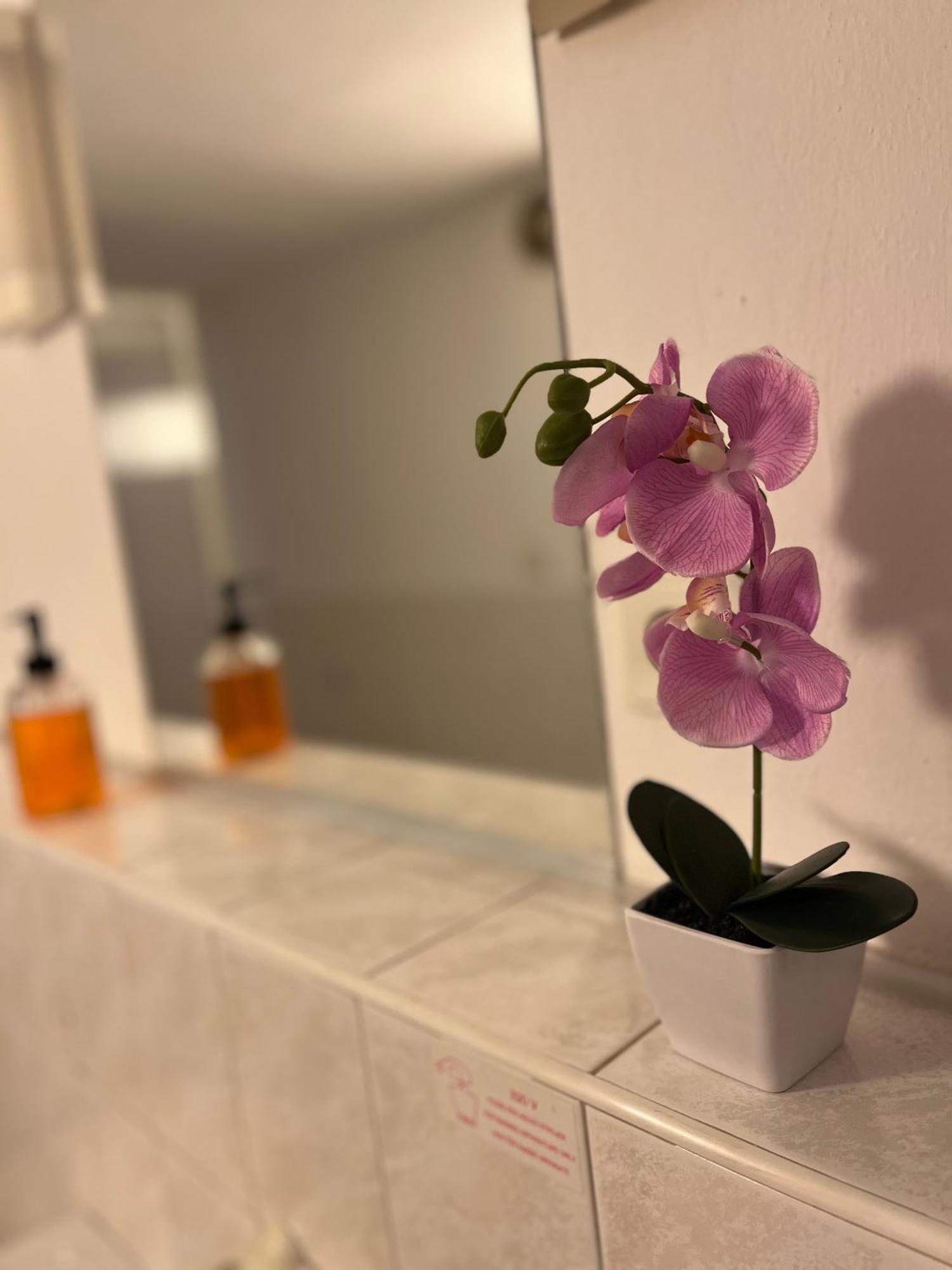 Apartmany Baroko Broumov Kültér fotó